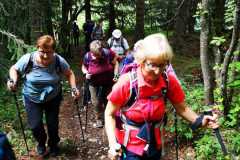IMG-20210705-WA0012