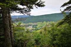 IMG-20210705-WA0020