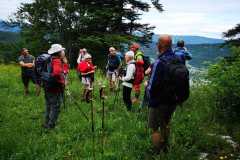IMG-20210705-WA0021