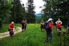 IMG-20210705-WA0022