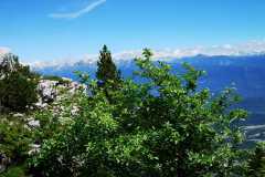 IMG-20210705-WA0030