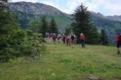 IMG-20210706-WA0010
