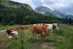 IMG-20210706-WA0018