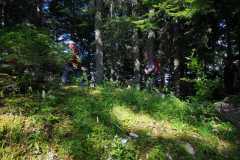 IMG-20210706-WA0036