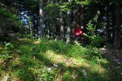 IMG-20210706-WA0037