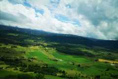 IMG-20210707-WA0010