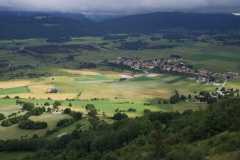 IMG-20210707-WA0021