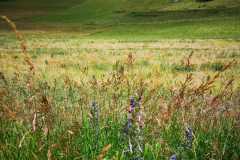 IMG-20210709-WA0004