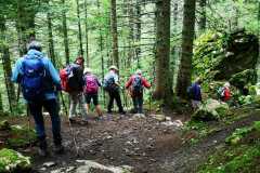 IMG-20210709-WA0007