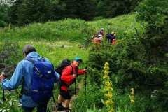 IMG-20210709-WA0008