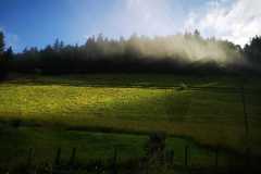 IMG-20210709-WA0014