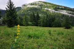IMG-20210709-WA0016