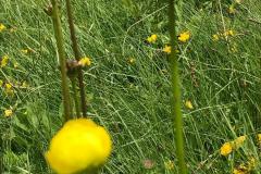 IMG-20210823-WA0003