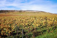 2022 BALADE NUITS ST GEORGES