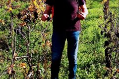 IMG_20221026_142218