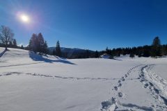 20220118_103232
