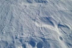 20220119_094512