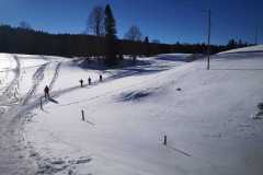 IMG-20220117-WA0013