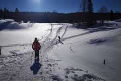 IMG-20220117-WA0014