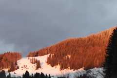IMG-20220120-WA0005