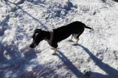 IMG-20220121-WA0008