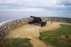 IMG-20220610-WA0004