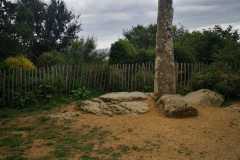 IMG-20220610-WA0013