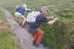 IMG-20220610-WA0021