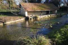 IMG-20230212-WA0001