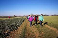 IMG-20230212-WA0018