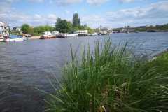 IMG-20230517-WA0007