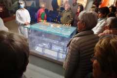 IMG-20230517-WA0028