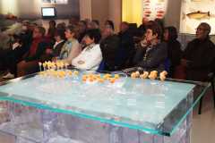 IMG-20230517-WA0029