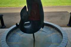 IMG-20230517-WA0035