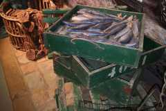 IMG-20230517-WA0041