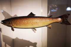 IMG-20230517-WA0047