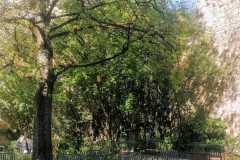 IMG-20250410-WA0002