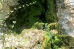 IMG-20250410-WA0005