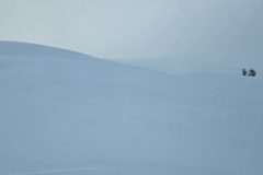 20250112_153812