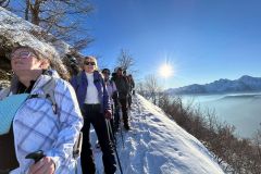 IMG-20250117-WA0020