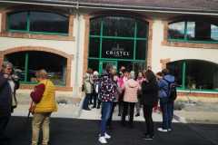 IMG-20250325-WA0017