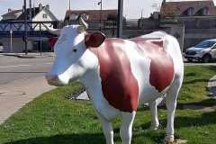 IMG-20250327-WA0000