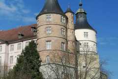 IMG-20250327-WA0002