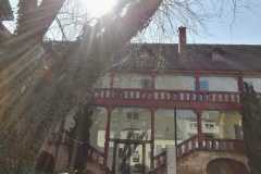 IMG-20250327-WA0012