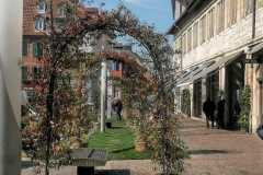 IMG-20250327-WA0016