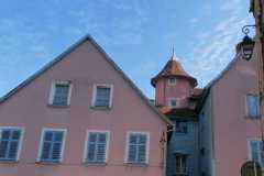 IMG-20250327-WA0020