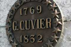 IMG-20250327-WA0023