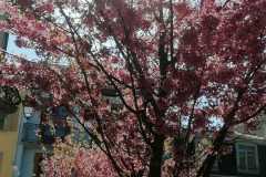 IMG-20250327-WA0025