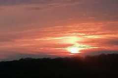 IMG-20250327-WA0032