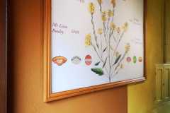 IMG-20230620-WA0020